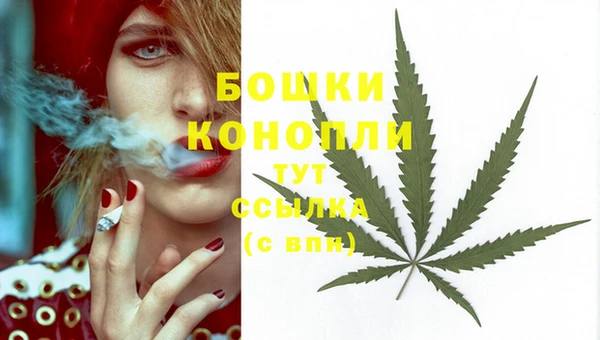 тгк Богородск