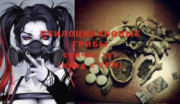 твердый Богданович