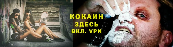 твердый Богданович
