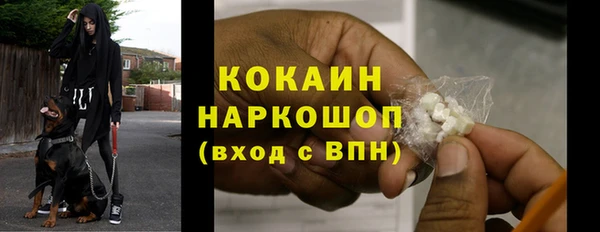 твердый Богданович