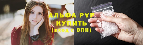 твердый Богданович