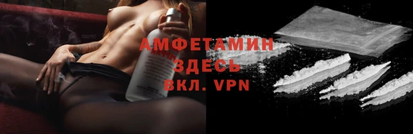 твердый Богданович