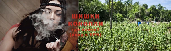 тгк Богородск