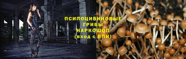 твердый Богданович