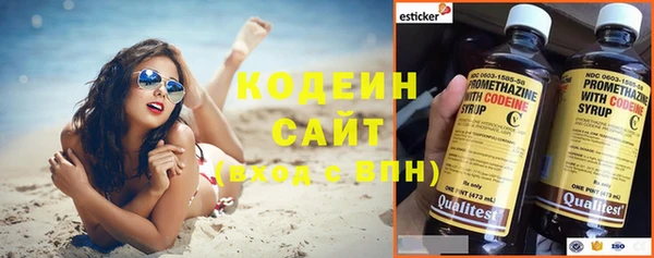 твердый Богданович