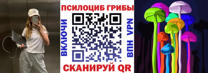 OMG ссылки  Назарово  Галлюциногенные грибы Psilocybe 